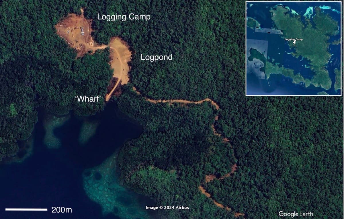 Logging on Sideia: Absolutely no political will