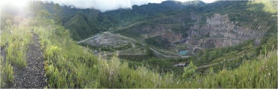 Only on Bougainville: A rather large sour treat