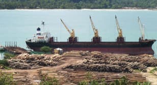 Locals claim logging polluting waterways