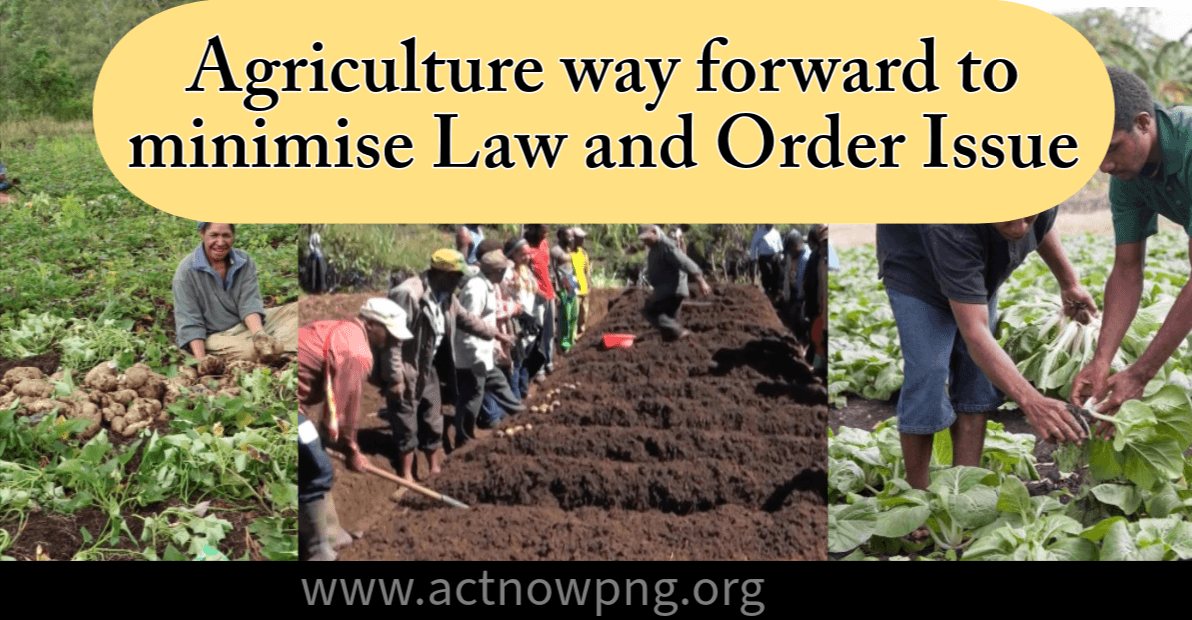 Agriculture can tackle law and order issues.