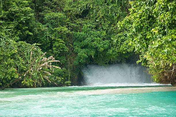 Consider the Environment