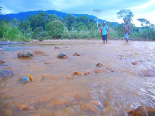 Spot the difference...