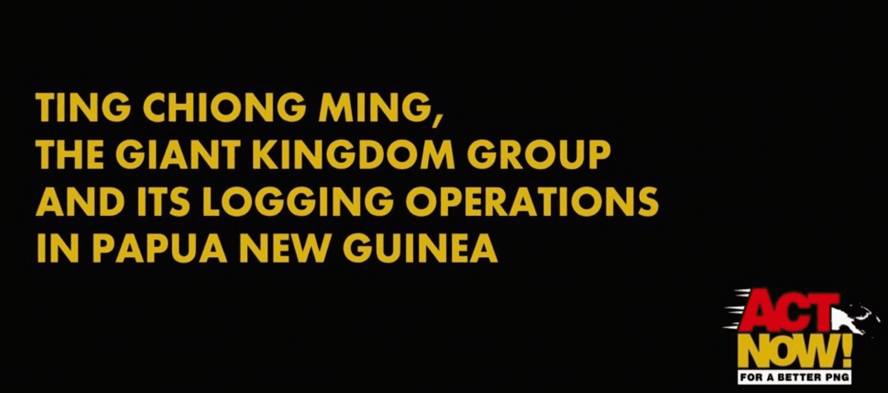Court stays logging company SLAPP law suit against ACT NOW!