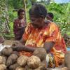 Promoting Customary Land